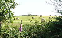 Acres of open countryside